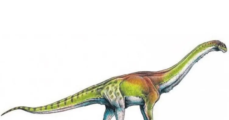 Dünyanın en büyük dinozoru keşfedildi