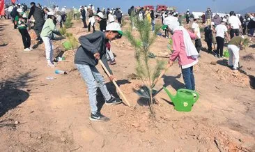 2 milyon fidan toprakla buluştu #ankara