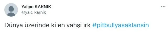 pitbull-dehsetine-sosyal-medyadan-tepki-yagdi-artik-pitbull-kurbani-vermek-istemiyoruz-1640345059367.jpg