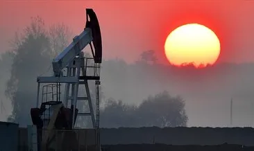 Dolar endeksindeki düşüş petrole yaradı