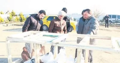 İcralık kuşlara yüzde 20 indirim