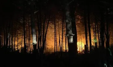Son dakika | İstanbul Çekmeköy’de orman yangını: Kontrol altına alınarak söndürüldü