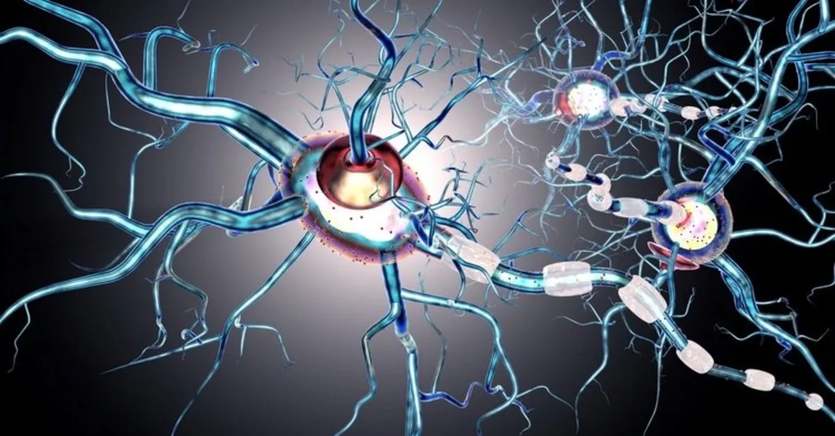 ms hastaliginin tedavisi nasil olur ms