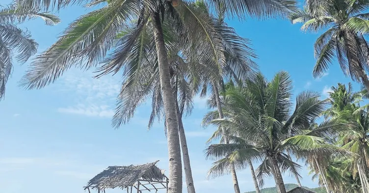 Kimseyi görmedim ben senden daha güzel