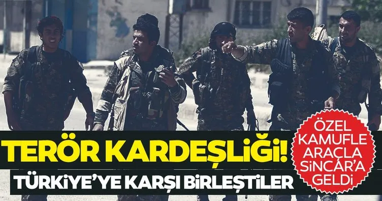 Terör kardeşliği! PKK ve Haşdi Şabi Türkiye’ye karşı birleşti