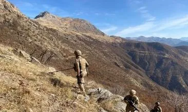 Komandolar, PKK’nın ’girilemez’ dediği Sehi Ormanları’na indirme yaptı