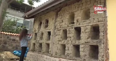 Bu evi görenler şaşırıyor! Doğal peteklerden oluşan 100 yıllık arı evi yenileniyor | Video