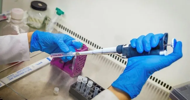 2019 Eczacilik Fakultesi Taban Puanlari Aciklandi Mi Eczacilik Fakultesi Taban Puanlari Ve Basar