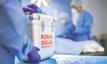 Duyun bu yaşam çığlığını!