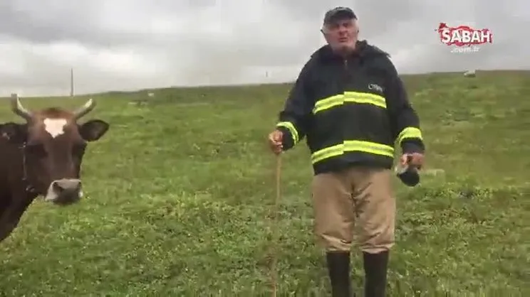 Gelininin sattığı ineğini iki kat ücretle geri aldı | Video