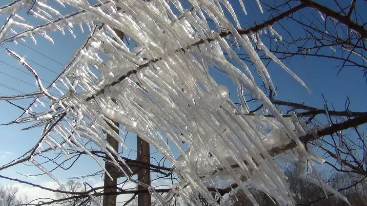 Kars buz kesti: Termometreler eksi 21’i gördü kirpikler dondu!