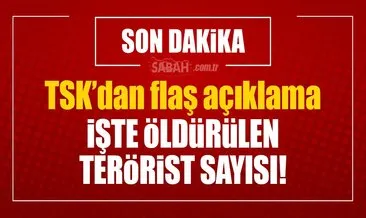 TSK: 68 DEAŞ’lı terörist öldürüldü!
