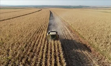 Tarım ÜFE verileri açıklandı
