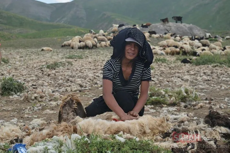 22 yaşındaki genç kız koyunlara çobanlık yapıyor