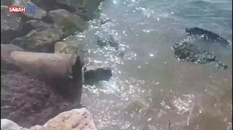 Bakanlık Yalova Belediyesi'ne 1.3 milyon TL ceza kesti | Video