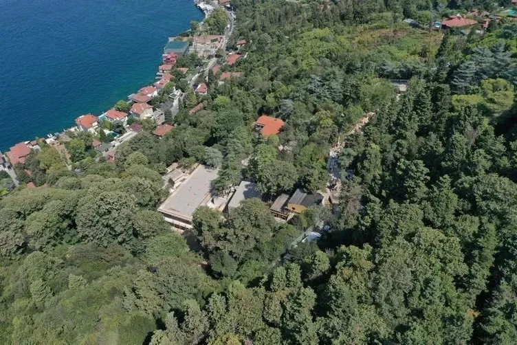 İBB gözetiminde milletin korusunu gasp ettiler! İmamoğlu yönetiminden yalan üstüne yalan