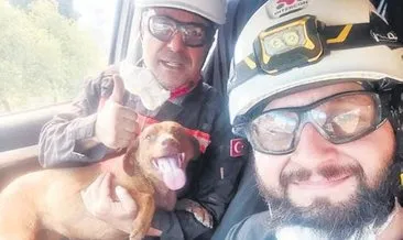 İzmir yangınında bir köpeği kurtardı #izmir