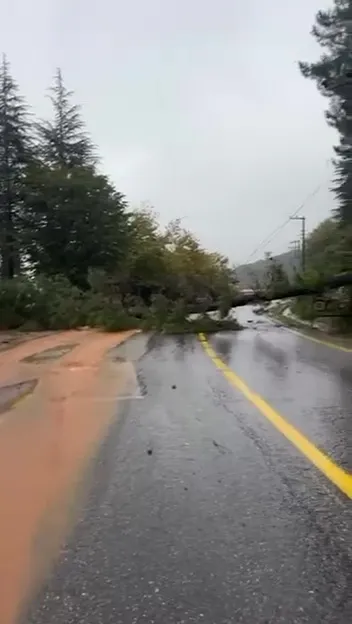 kocaeliyi-saganak-vurdu-yollar-gole-dondu-evleri-su-basti-1792049358014.jpg
