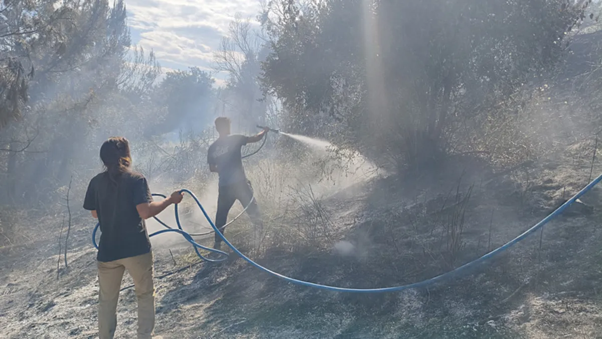 Antalya’da ormanlık alanda yangın!
