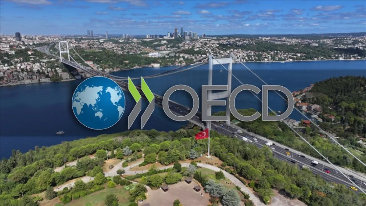 OECD İstanbul Merkezi kuruluyor! Karar Resmi Gazete’de yayımlandı OECD İstanbul Merkezi kuruluyor! Karar Resmi Gazete’de yayımlandı