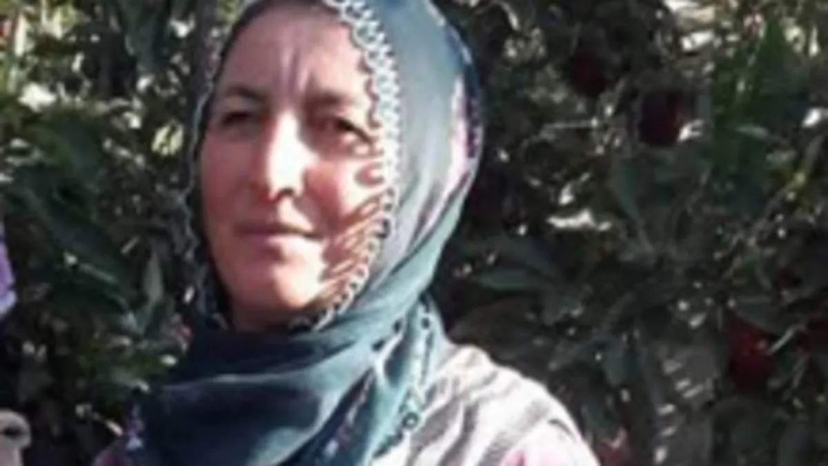 Aksaray’da kahreden ölüm: 4 çocuk annesinin üzerine ağaç devrildi! Aksaray’da kahreden ölüm: 4 çocuk annesinin üzerine ağaç devrildi!