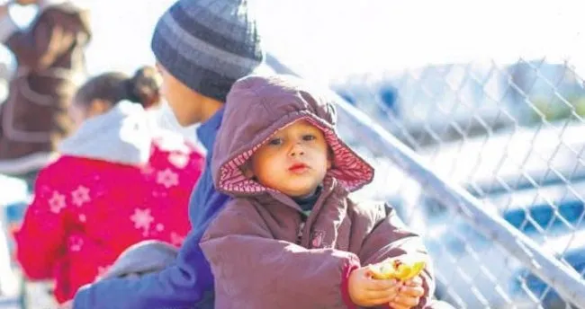 Mülteciye karşı tepki azaldı