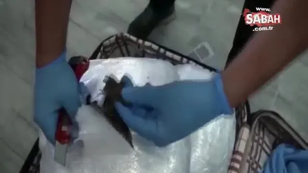 Sabiha Gökçen Havalimanı’ndaki uyuşturucu operasyonu kamerada | Video