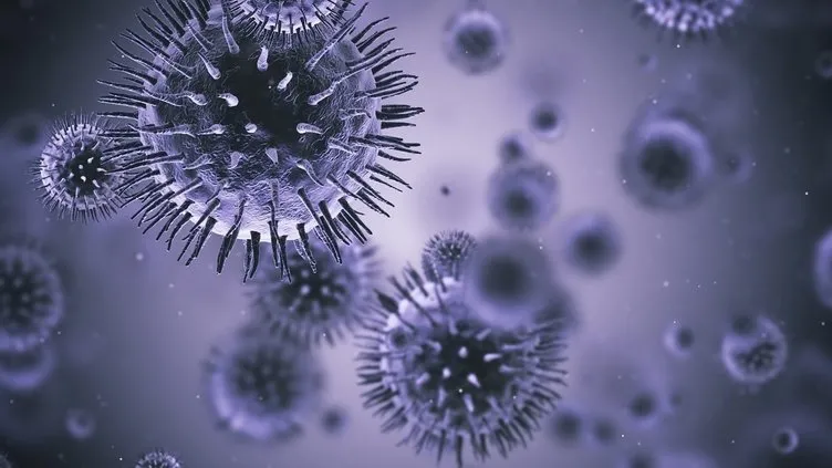 Koronavirüs kabusu akıllara getirdi! İşte milyonları öldüren salgın hastalıklar...