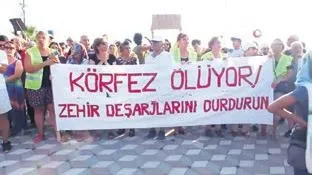 İzmir Körfezi balık mezarlığına dönerken... Edremit Körfezi lağım çukuru oldu | Yüksel Aytuğ yazdı