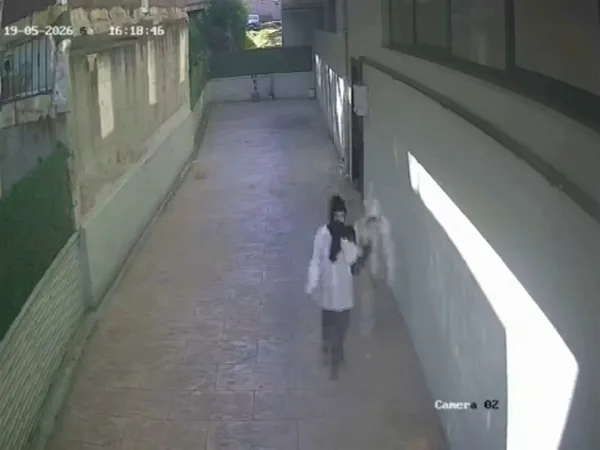 1779780207292.jpg