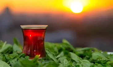 Lezzetli çayın sırrı: Mayıs ayı çayı #rize