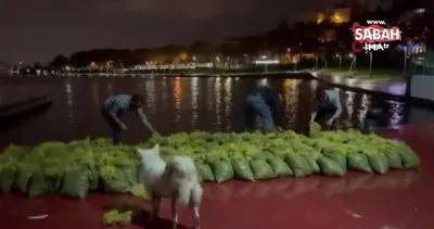 İstanbul’da 4 ton kaçak midye ele geçirildi | Video