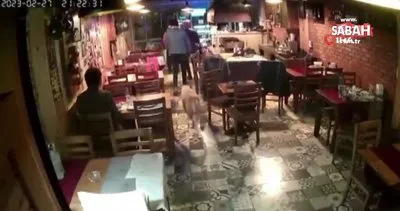İzmir’deki depremde herkes kaçıştı, o yerinden kıpırdamadı | Video