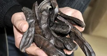 Keçiboynuzunun faydaları nelerdir?