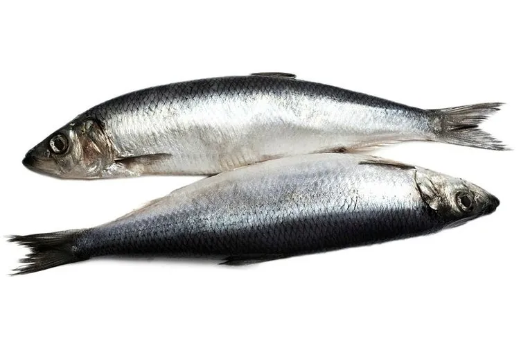 Balığı una bulayıp kızartmak kansere neden oluyor