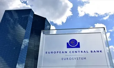 ECB: Ani şoklar, hanehalkı ve şirketleri zor durumda bırakabilir