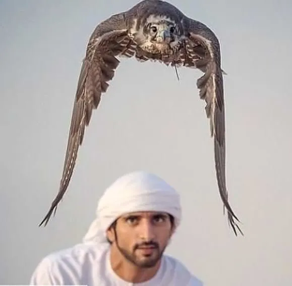 Dubai Prensi'nin birbirinden çılgın fotoğrafları!