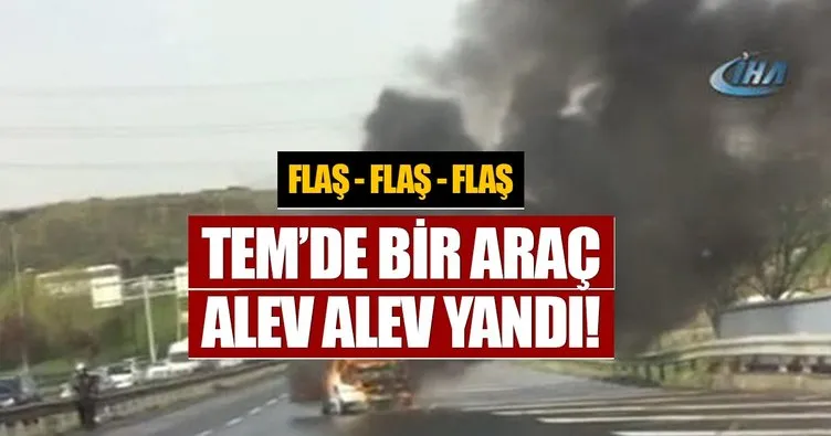 Alev alev yanan otomobil belediye çalışanı söndürdü