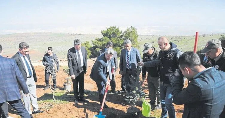 Ormanlık alanı yükümlüler yeşertecek