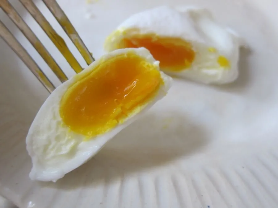 Глисты в куриных яйцах