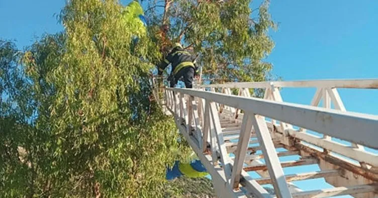 Fethiye’de yamaç paraşütü ağaca dolanan kişi kurtarıldı