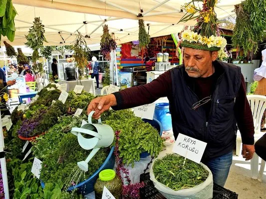 ÇEŞTOB Başkanı Demir: Alaçatı Ot Festivali Ege festivali gibi olmaya başladı