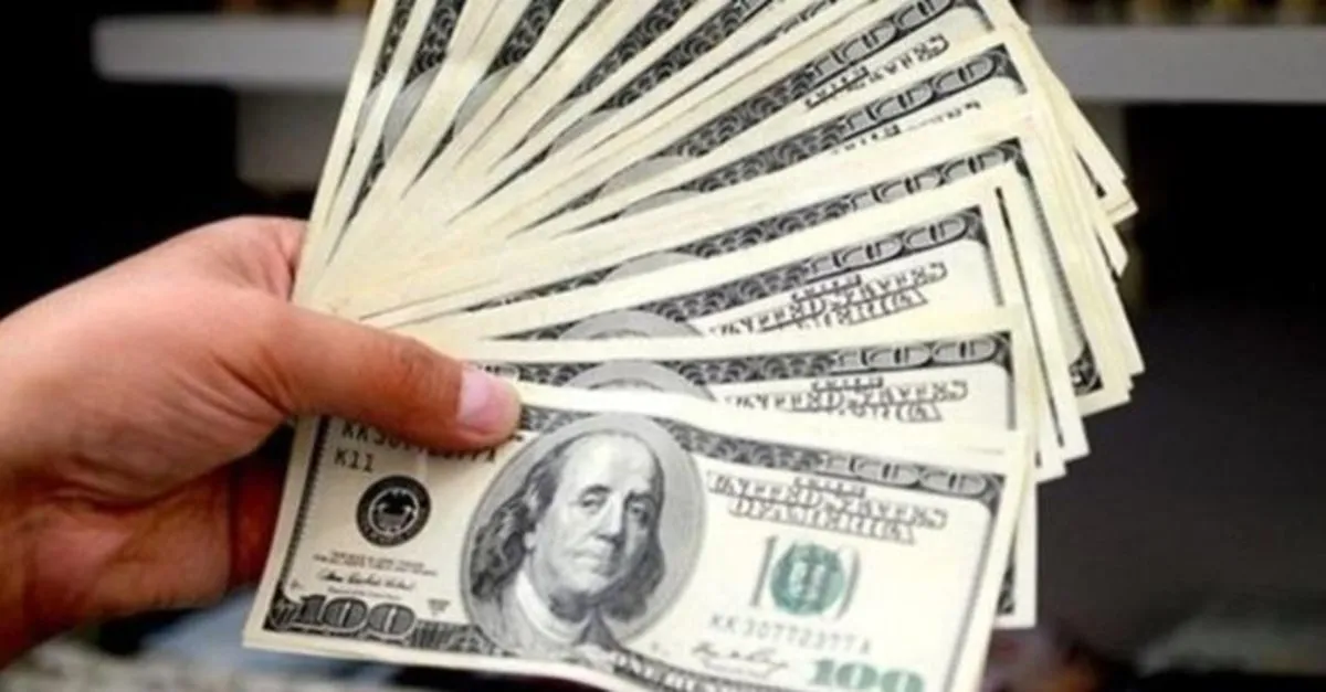 dolar kuru merkez bankasi nin faiz