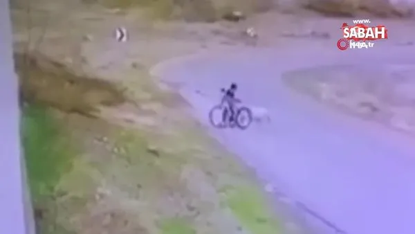 Ankara'da bisikletli çocuğa köpek saldırdı, o anlar kameraya yansıdı | Video
