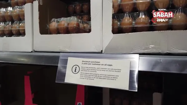 İngiltere'de yumurta satışına kısıtlama | Video