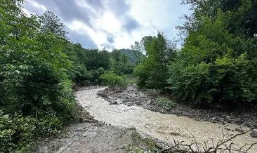 Ninesinin cansız bedenini dere kenarında buldu #ordu