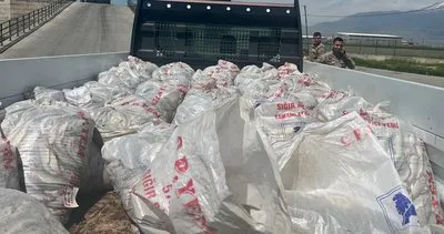 Ağrı'da kaçak yollarla taşınan 2 ton inci kefali ele geçirildi #agri