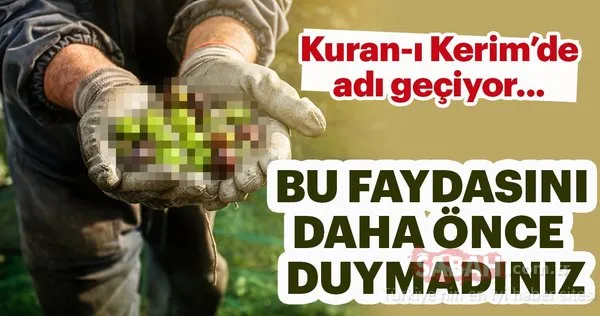 Kuran-ı Kerim'de adı geçen mucizevi besinler...