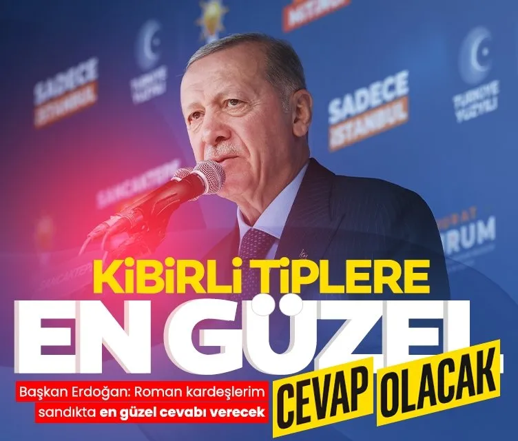 Başkan Erdoğan: Roman kardeşlerim sandıkta en güzel cevabı verecek