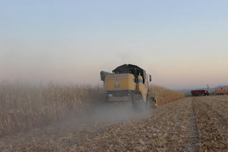 Bir yılda 9 obruk oluştu